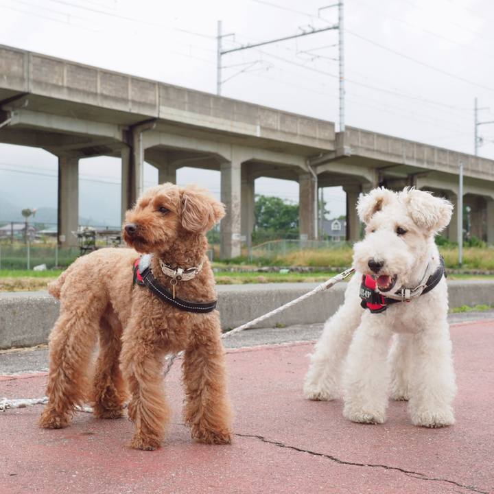 E4f0dad1 ba25 439e 8689 43cfaca8d73a 1559963543723