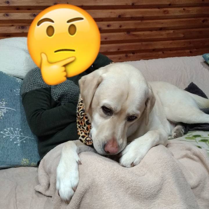 E4f11236 5c09 4626 b871 4a0995fb3820 1611917541808