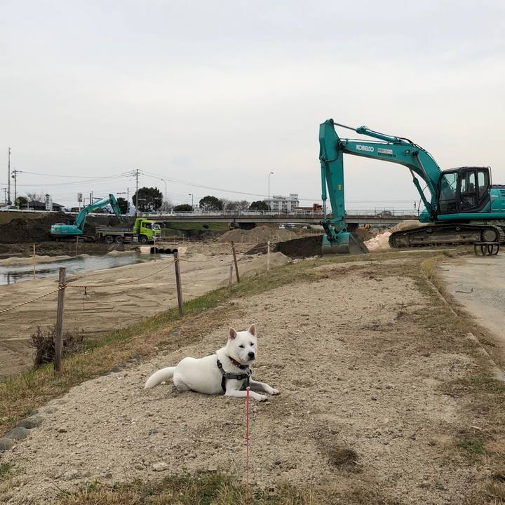 E4f11528 05ec 4413 91c4 840bfa9601ce 1547203436216