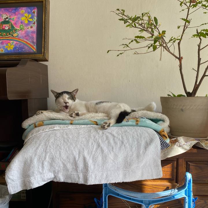 E4f12c3f 6f98 426c 9f7f 24a46ad05a1b 1614383471954