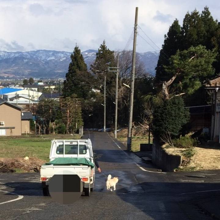 E4f1d253 6dd3 458b a7ec b5d5a093bbae 1523172179550