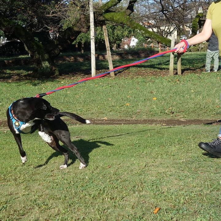 E4f1d8fc 7e55 48ab 9e89 f821af368dc5 1633134363591