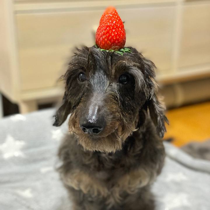 E4f20e4a 0e7f 46dd 8136 c0c5abb6def5 1576503023038