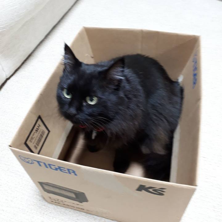 E4f23c32 45d6 4431 af64 2afe5e8b7ea6 1542323710533