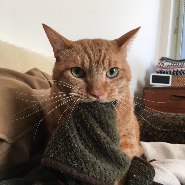 E4f24a22 4444 4dc8 b2e5 bf56e4ed1fbb 1607474006760