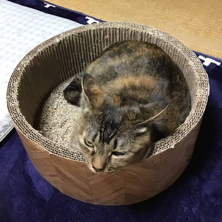 E4f277f3 fbc5 4e11 8857 6ce207f967c4 1706444878447