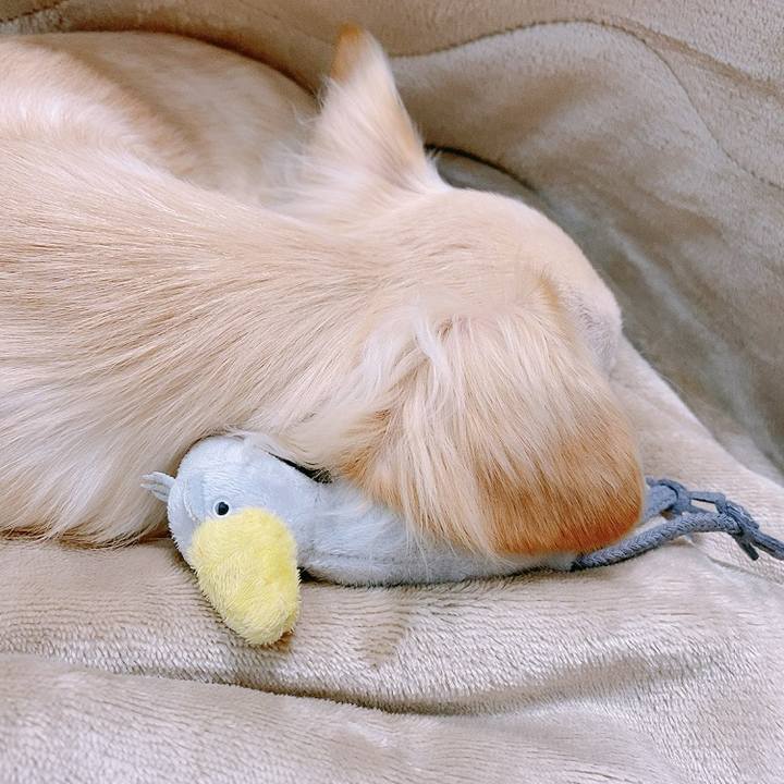 E4f29076 aa3b 4354 859b 895dedc7d195 1609905403746