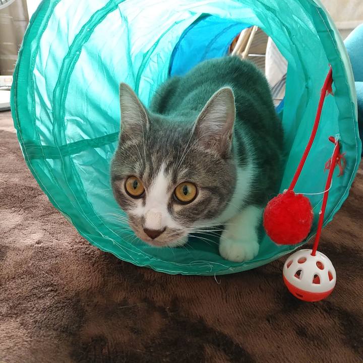 E4f2b6a5 a642 4283 91fb d3523f75ff66 1576110855095