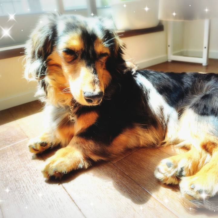 E4f2dd5c 164e 4706 9f6e 0bc4df86746d 1711763100141