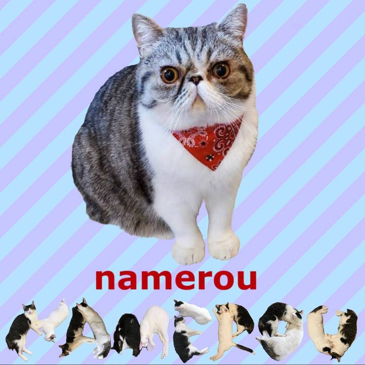 E4f2e97b bcc2 49a2 b66a fd58d4a3021c 1667696720091