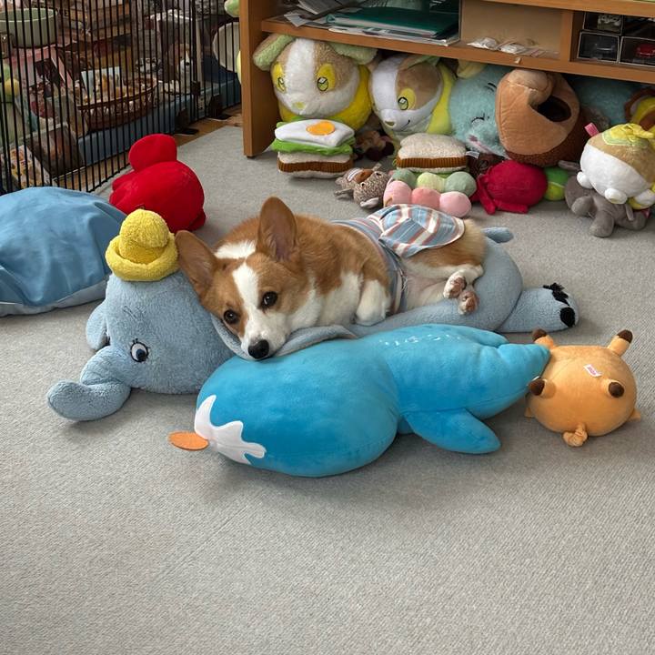 E4f2f4a1 bb6d 457f 9d6b c6d6131e38f2 1757744037324