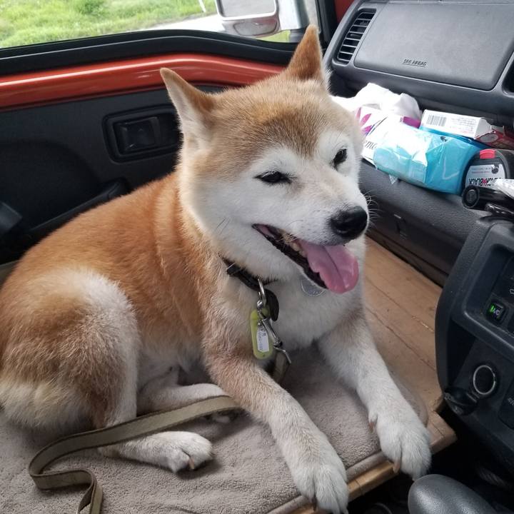 E4f323ec a4df 42d1 90ab c040e0d0df83 1659431949415