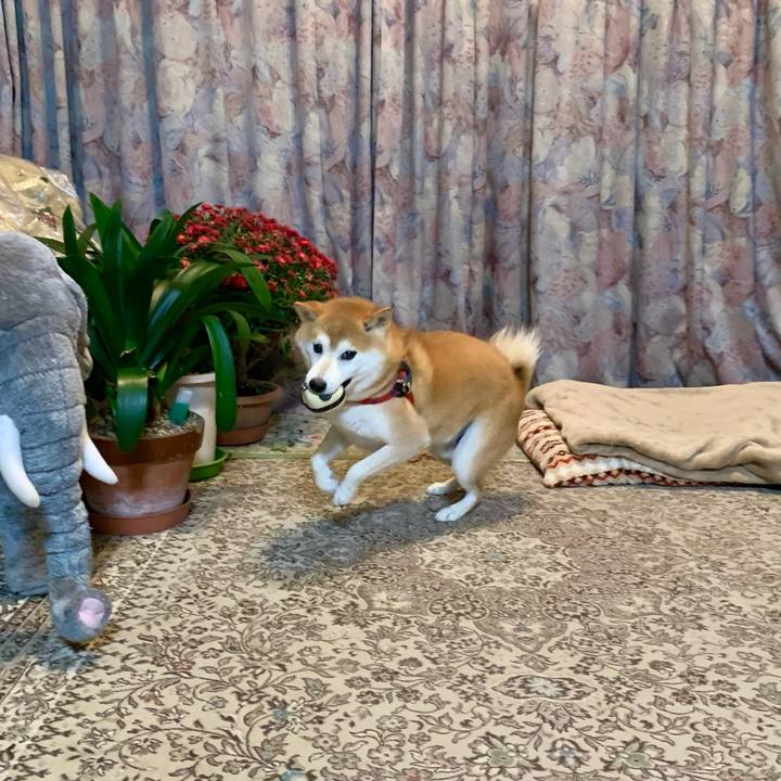 E4f3320f 5db5 497e a62d 5b7f232fbd4b 1667474481399