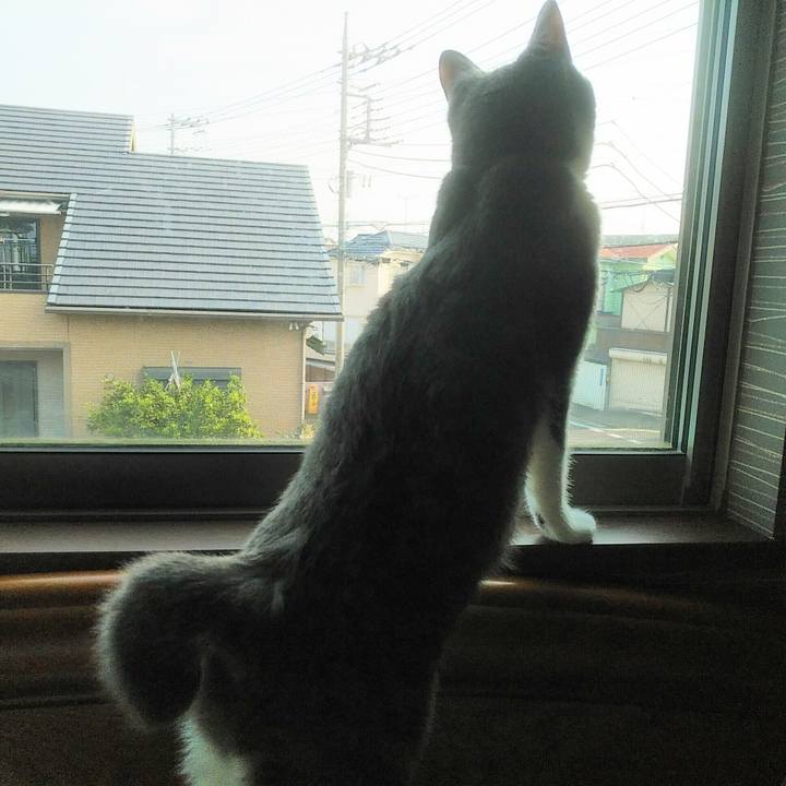 E4f36e3b cb9f 49ef 8540 5e0deada5e00 1588459730734