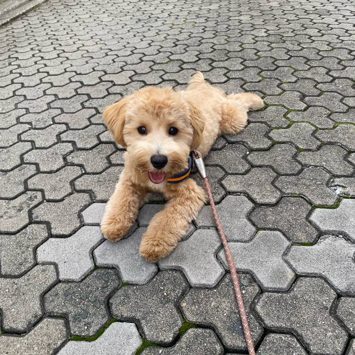 E4f39226 3fdf 40c1 868e 35e17333bd3e 1757307396135