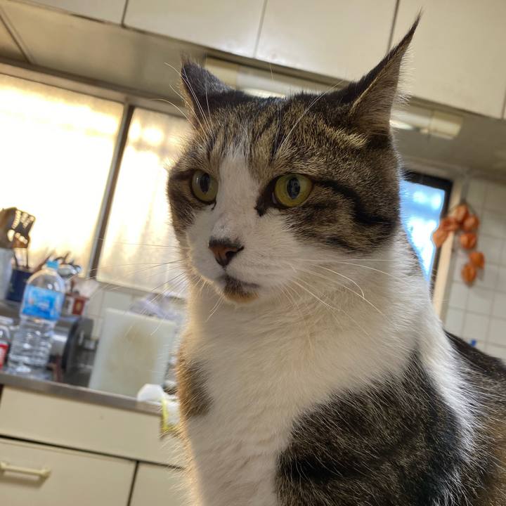 E4f39445 3500 42e0 b5e3 ebd353a5c71f 1573895378374