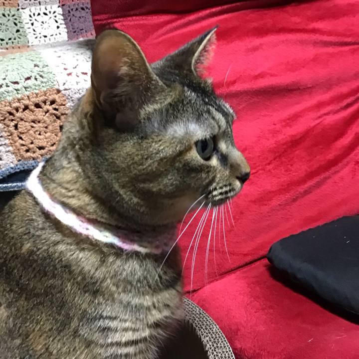 E4f3b96b 104c 4504 bd4b 43ad8bfae503 1699791356248