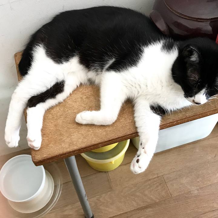 E4f3e090 77df 4b49 8bfa 5f590395ebe8 1507690656680