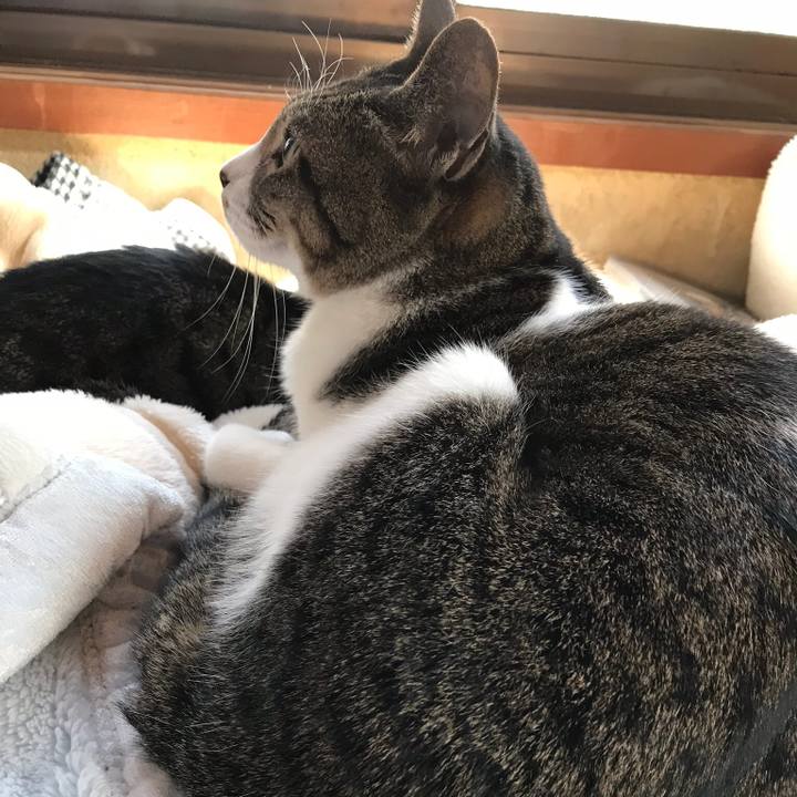 E4f40f41 9268 4bcc 91b5 5cabf52dad52 1514675692124