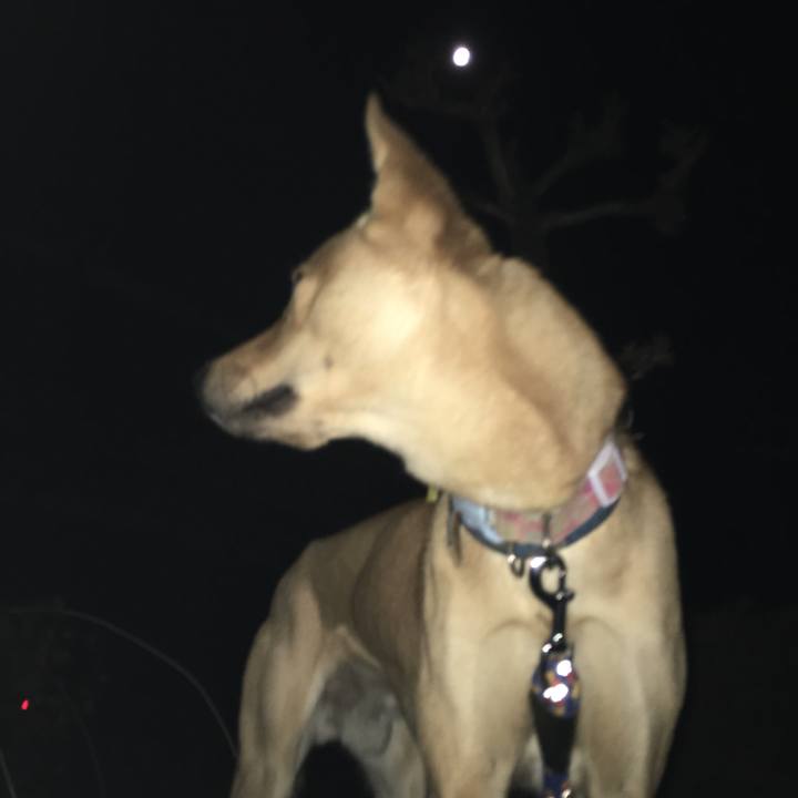 E4f4301f 3930 412c 860d f8210912ce91 1514894538368