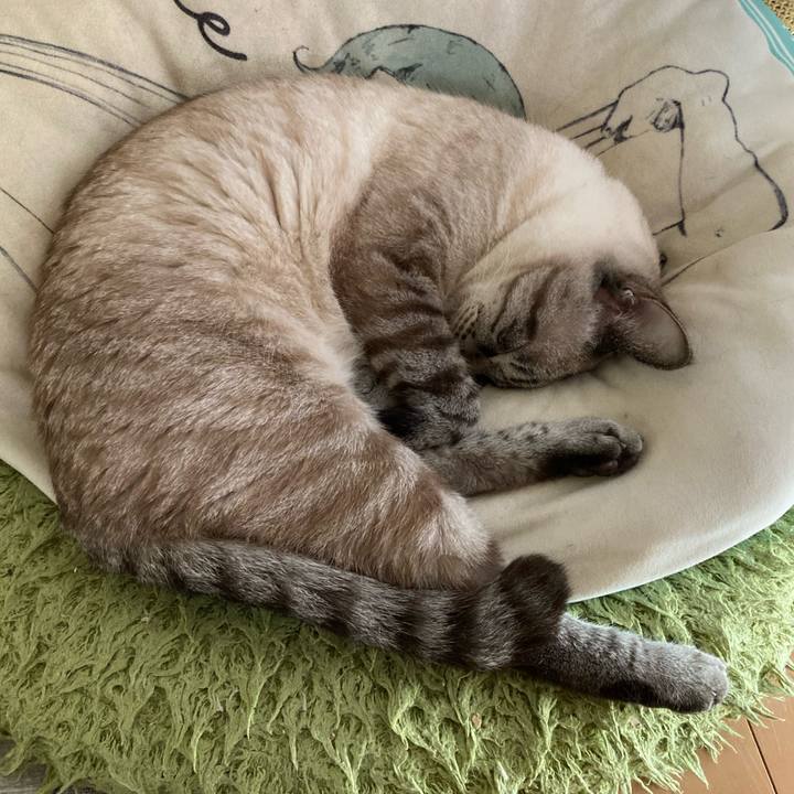 E4f442bb bfb5 41e5 93c3 6377b3eb7f8c 1764554049456