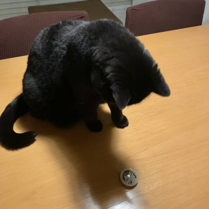 E4f470d8 6dee 46c9 9ee0 506d9b2beb8e 1675854958382