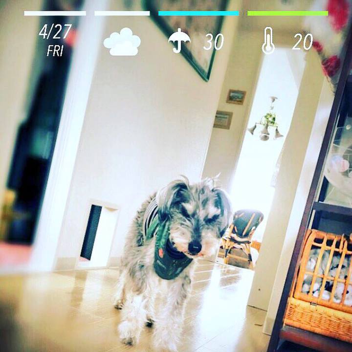 E4f47b98 e7a5 4ea9 8ac2 bdf63eaf09bc 1524792881979