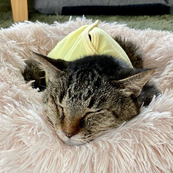 E4f496ac 7bbc 4763 921a ed6f10e23be2 1685934295181