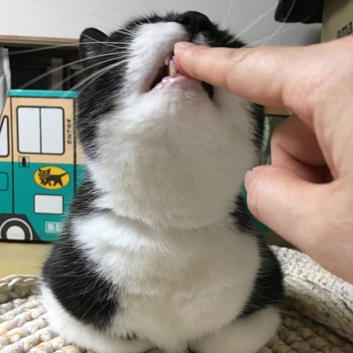 E4f4c6e7 a712 4092 ac57 50d2a520b116 1557924746665