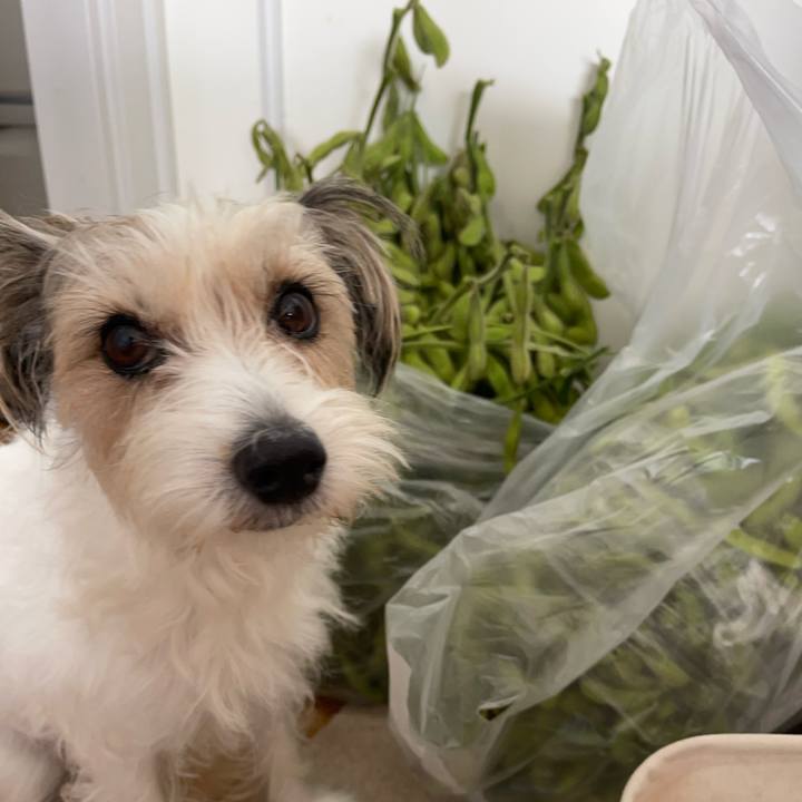 E4f52962 60c1 4a74 8865 61194a385904 1761449309580