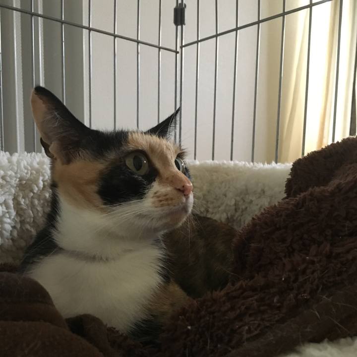 E4f554f4 6094 45ef 9e1c 3d95ff9780d6 1508460063840