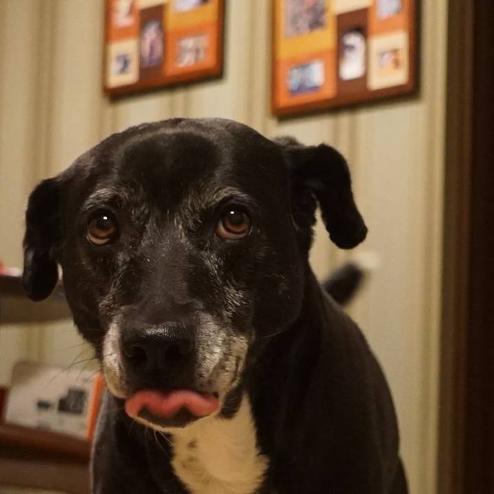 E4f56fcf c224 4d18 b24b 032a16f61b0f 1770462231103