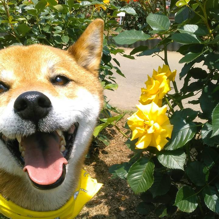 E4f57468 aed5 4652 a799 53192dd80e97 1527413665320