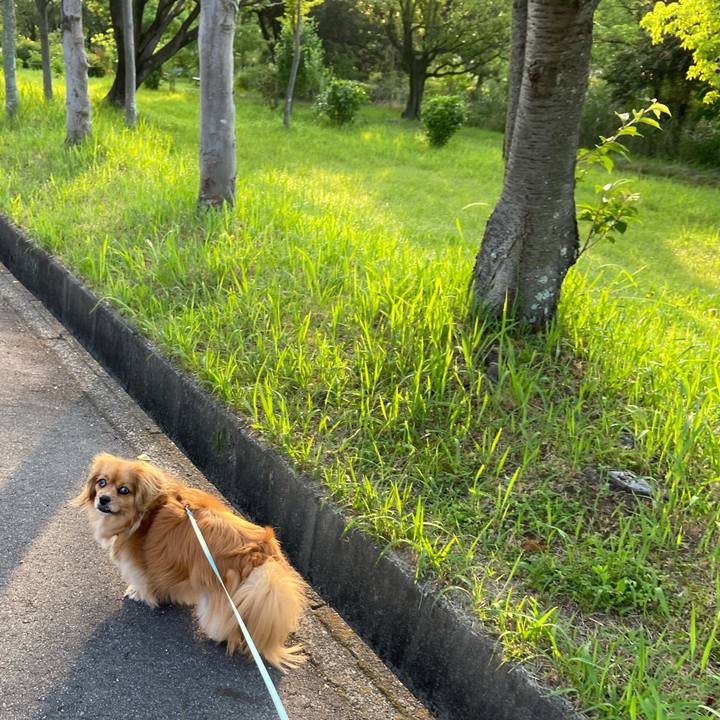 E4f58621 114f 4509 a96c 32f911c925a8 1591133312198