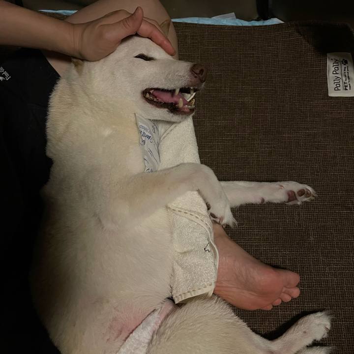 E4f58c97 221b 4da2 9dbe 506c678464c4 1665155679695