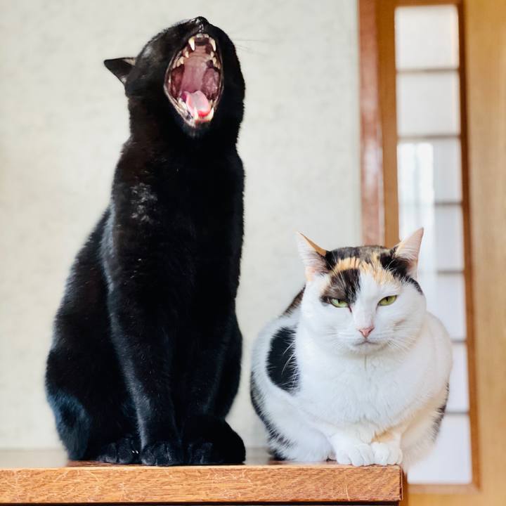 E4f5c6ce 181d 47a3 ab3f 20fd09c6c3a3 1604543871497