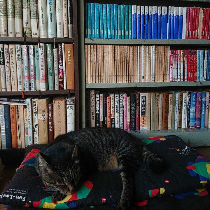 E4f616c4 06fe 496e a24d 058692837686 1663103911379