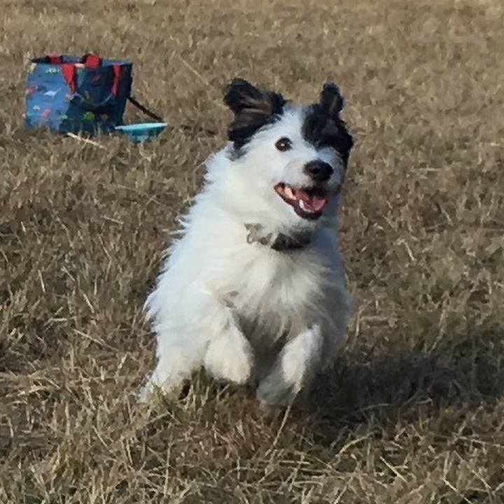 E4f6450c 5245 4c7e 9c62 21ce0fc6a9b7 1510697222412