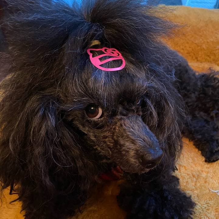 E4f6a903 32d8 4a15 98ee a5f98aa1c3a8 1667685069053