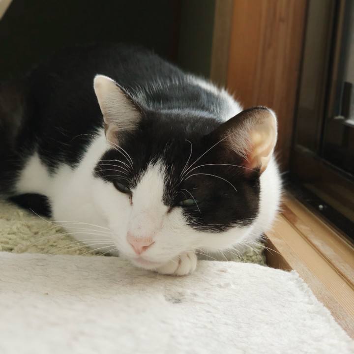 E4f6b1bd 17c8 4cfa a0d0 b9d54915d9dc 1541730312493