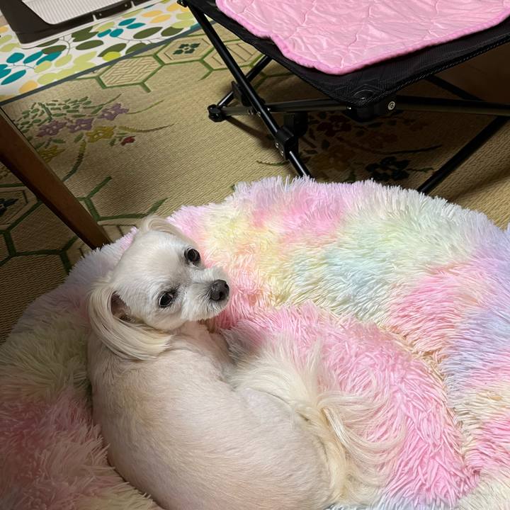 E4f6b24e 42e6 4c73 8bad cbfb132f2258 1690797611936