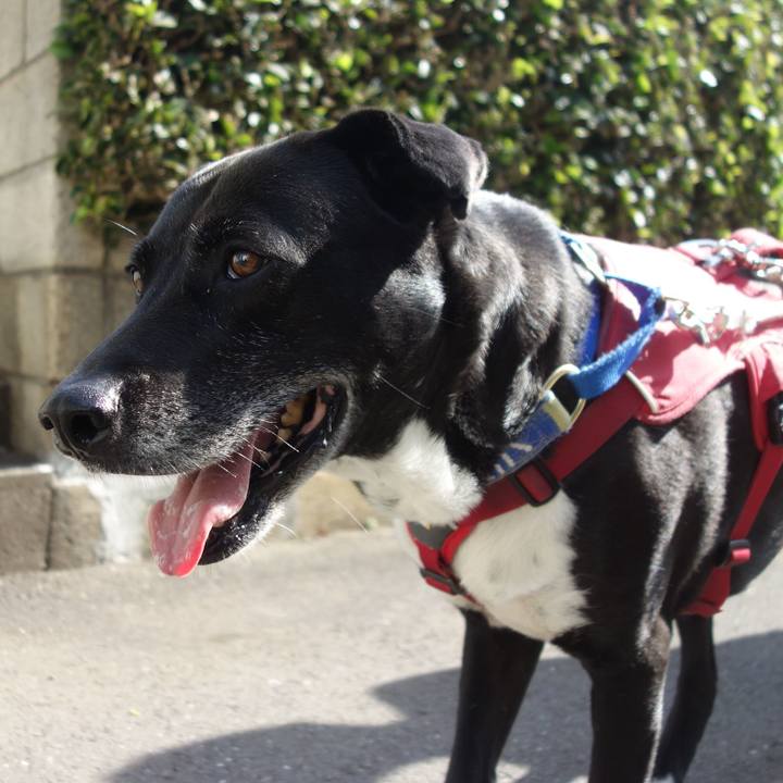 E4f720a5 8ab7 4538 bf6d 0f4594ee0e64 1683592743514