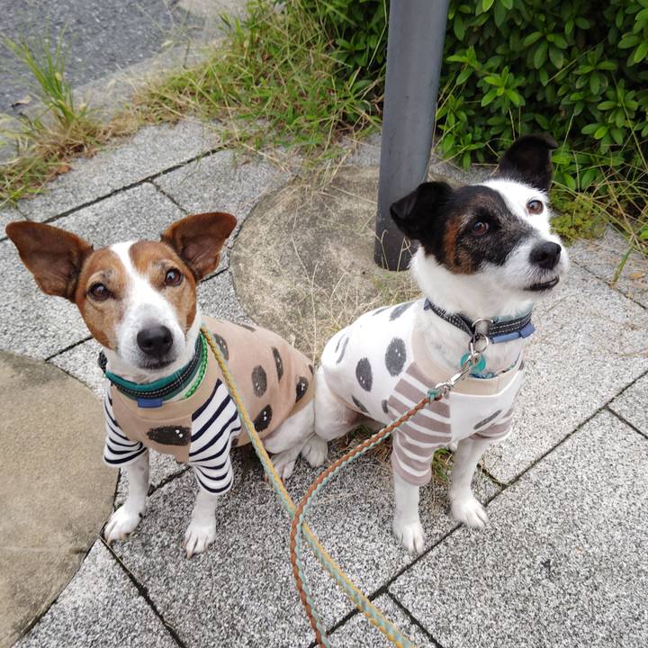 E4f78d2a 0f80 4f80 a5a4 98e3e4f85fed 1730152453128