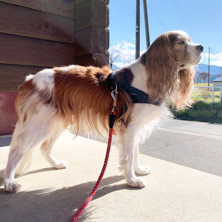 E4f7990d 2997 48c1 a15e f34bcc2aa079 1574479224627