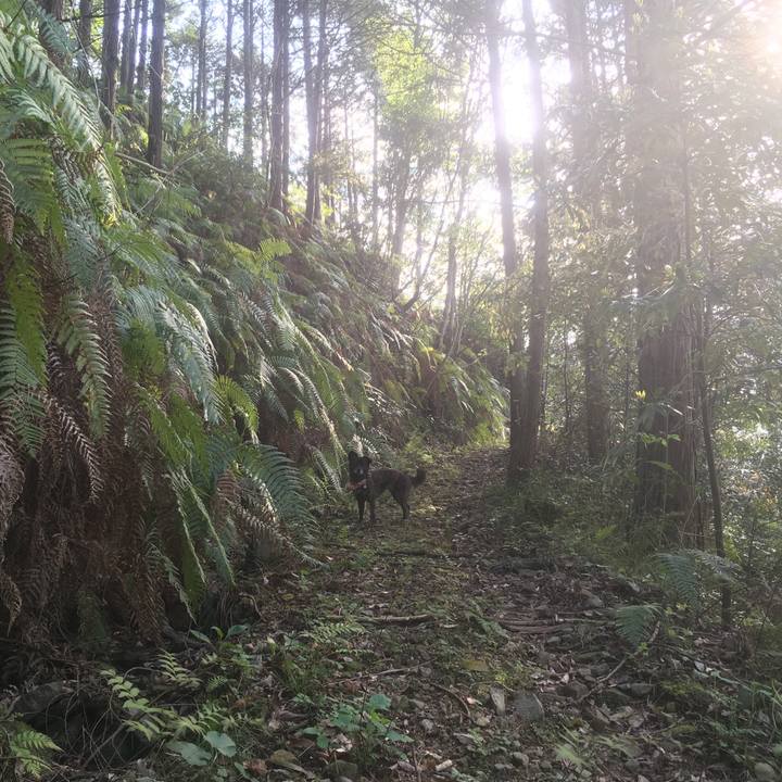 E4f7c776 ace7 42c6 a3a7 1c288dec47dd 1555602837323