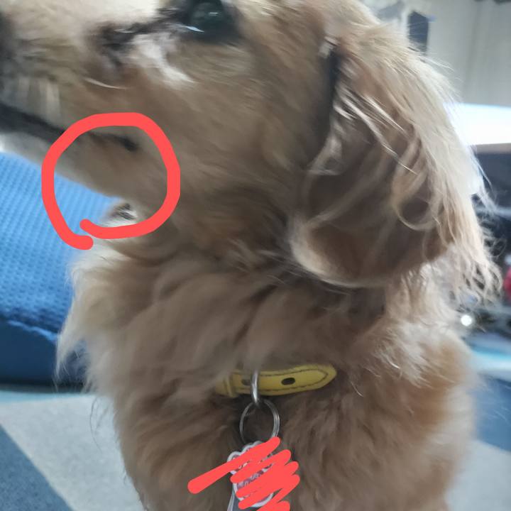 E4f808d4 2e7f 4496 bd9a a9414a2827a7 1679919925163