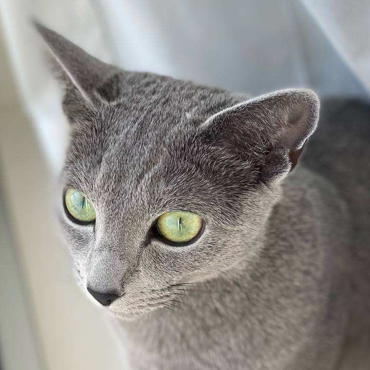 E4f83754 fc8c 481a b763 f52105c83933 1615697674517