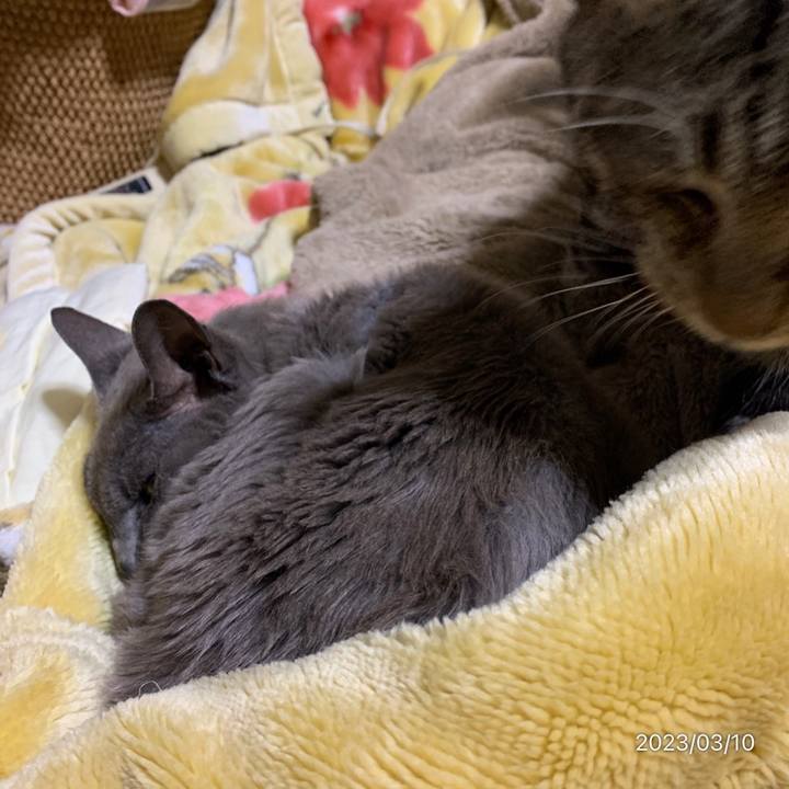 E4f8497d 781d 4773 b5e8 a01750677358 1678399137300