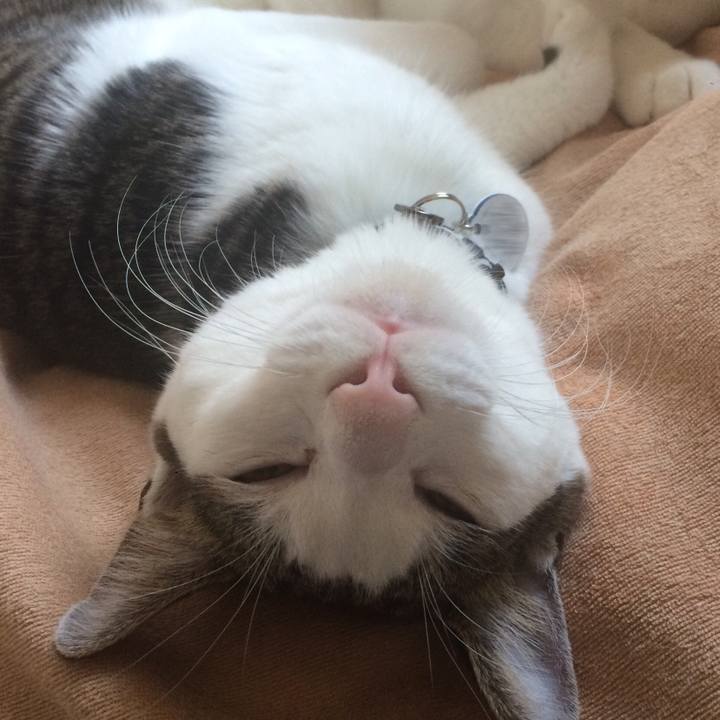 E4f8512e b915 4abc 89ca ba097704dc4e 1515051183094