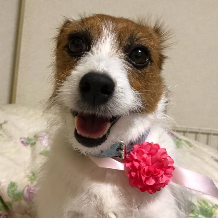 E4f8787a d39b 493f b94a 3ffcdd37035c 1527332826602